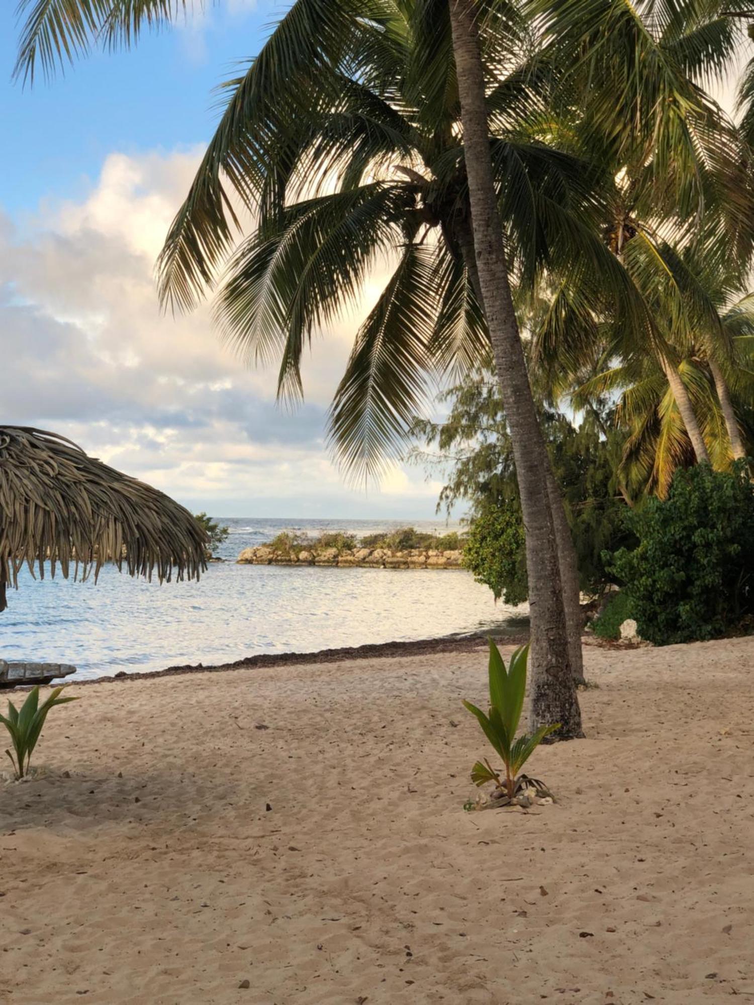 Studio Hibiscus Anse Des Rochers Saint Francois Exterior photo